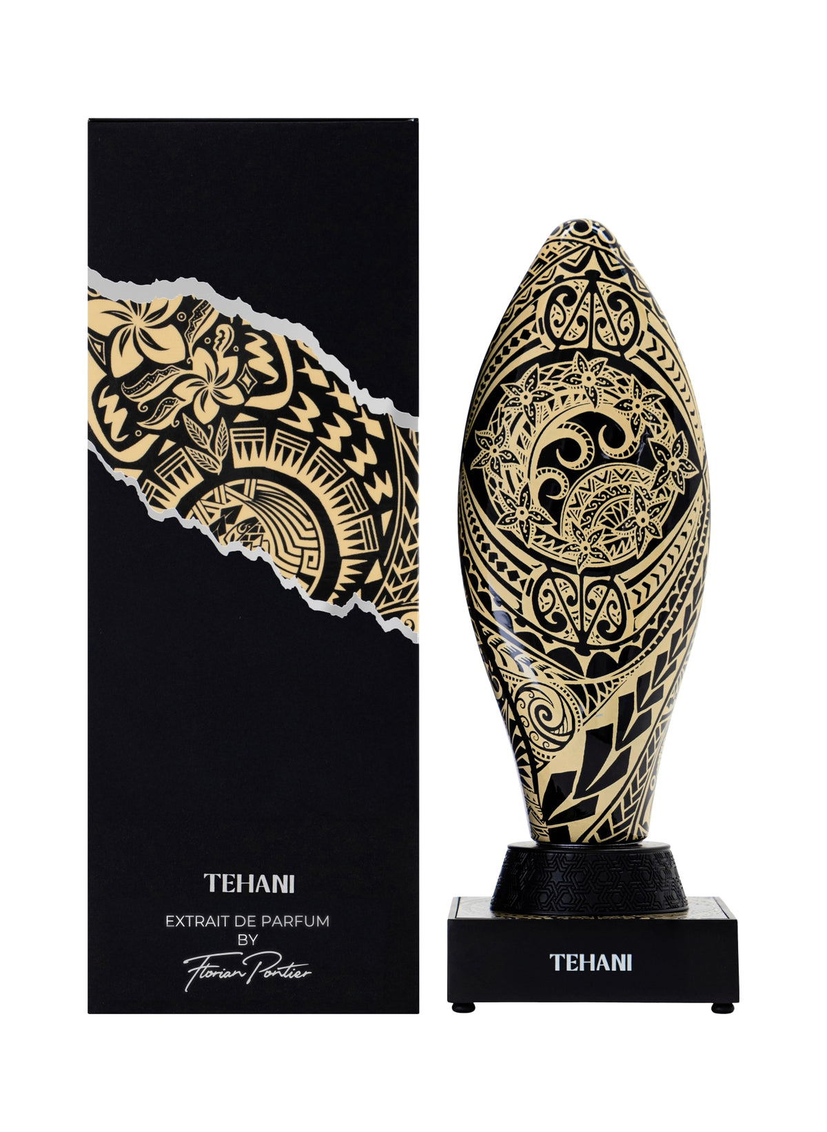 TEHANI-box.jpg