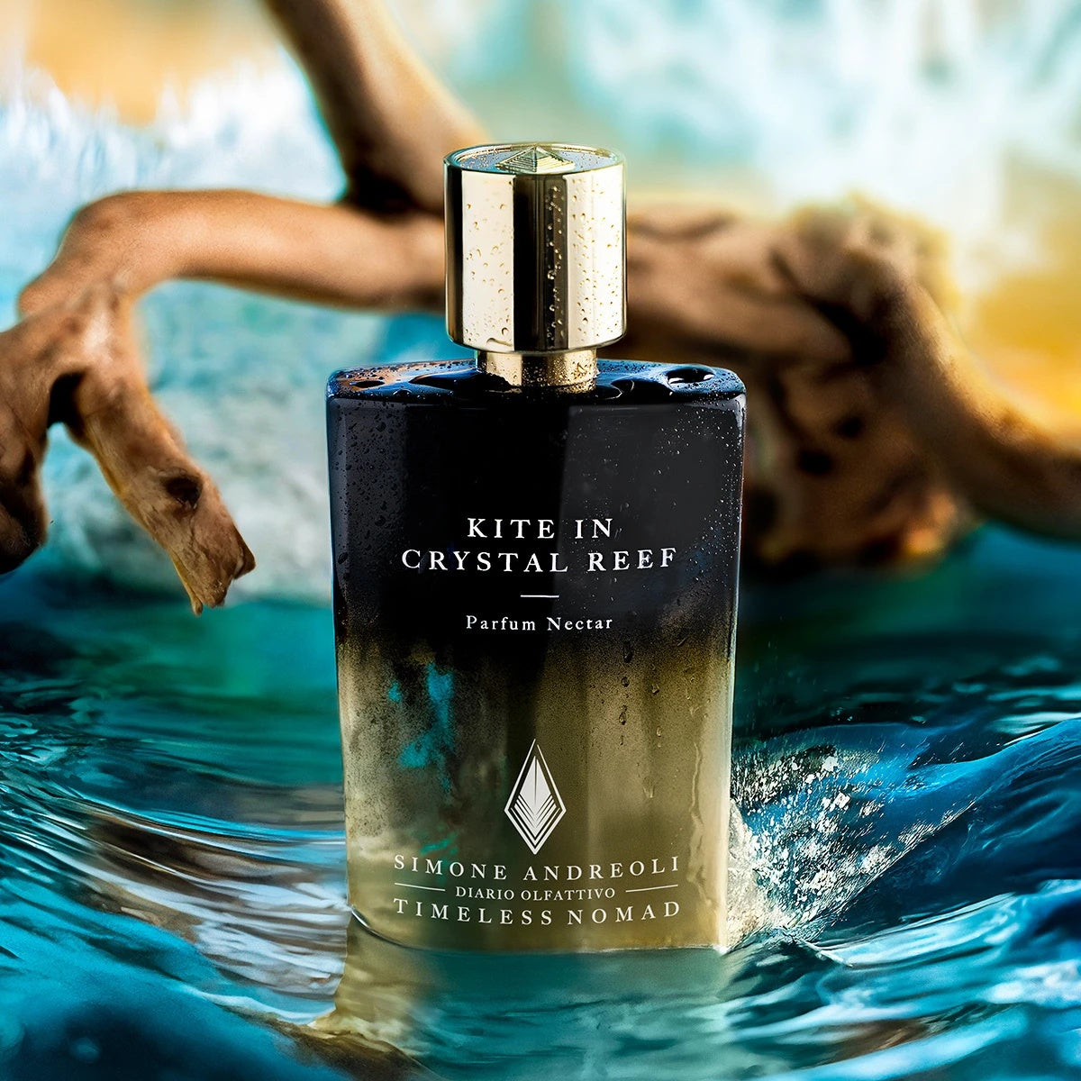 kite-in-crystal-reef-stilllife-20261002-144435.jpg