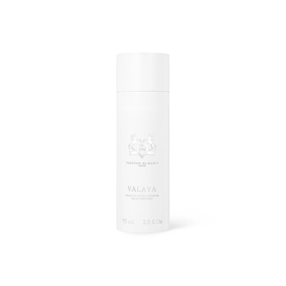 VALAYAHAIRMIST-20261016-175007
