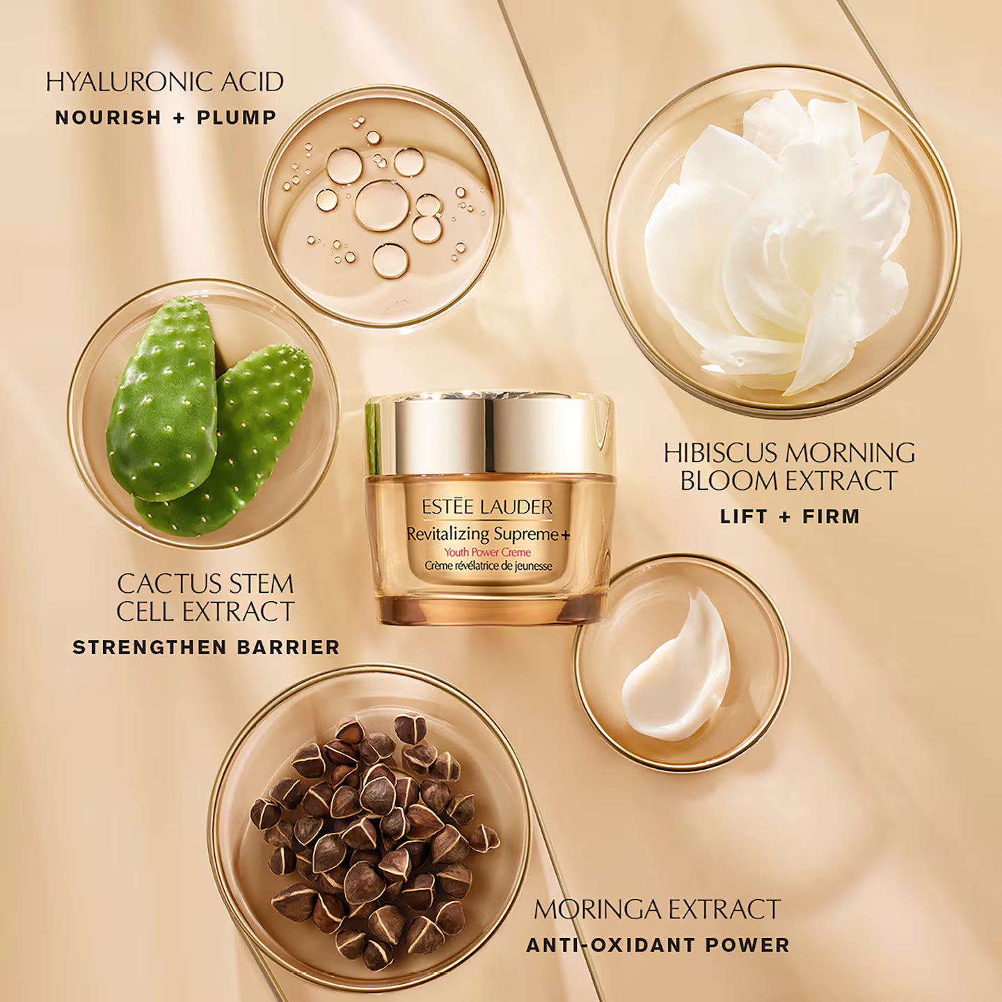 REVITALIZING SUPREME+ MOISTURIZER YOUTH POWER CREME