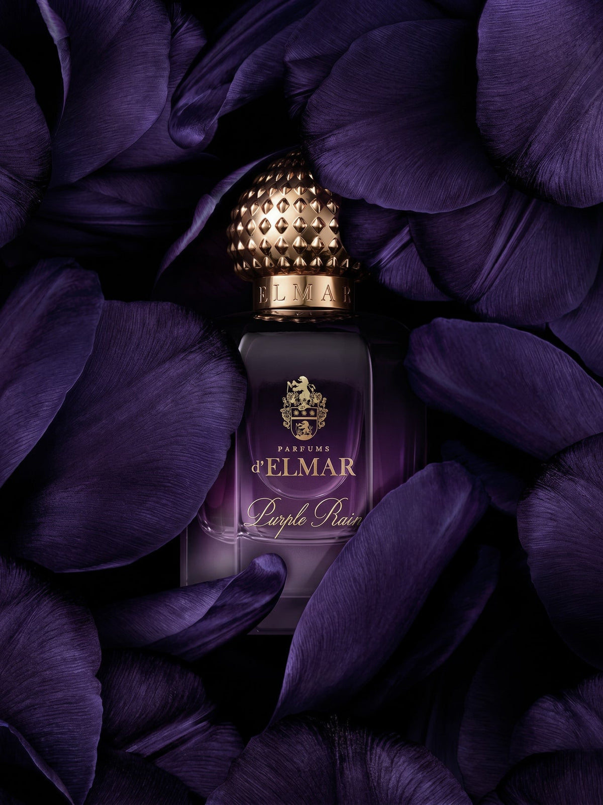 delmar_purple_rain_mood_v1-20261006-104030.jpg